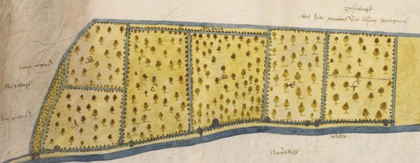 Kaart van tuinen en een bleekerij aan de Vliet, Sijmon Aerntsz, 1599. Het betreft gronden langs de huidige Schelpenkade in Leiden vanaf de 3 Octoberstraat tot de Valdezstraat (Bron: Collectie Regionaal Archief Leiden)