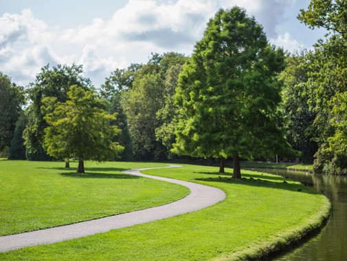 Park Rusthoff. Foto: Floris Scheplitz