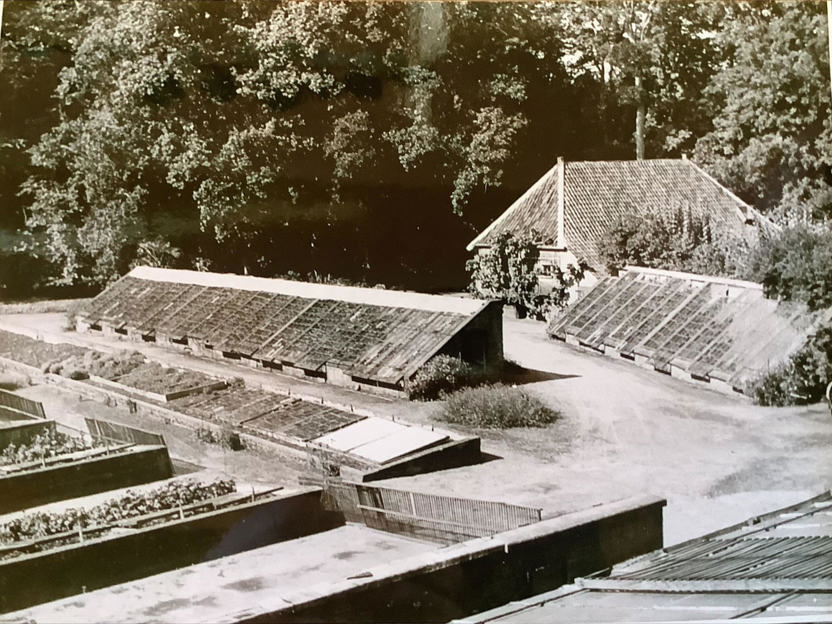 Broeibakken en druivenkassen in de oude moestuin van kasteel Duivenvoorde ©RCE