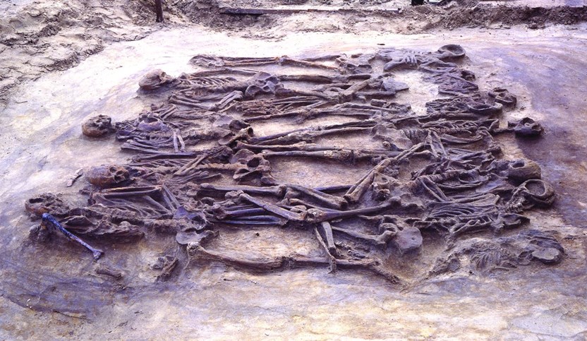Stille getuigen van een overval: de twaalf skeletten van mannen, vrouwen en kinderen, omstreeks 1700 v. Chr. bij Wassenaar begraven. (Foto: Faculteit der Archeologie, Leiden)