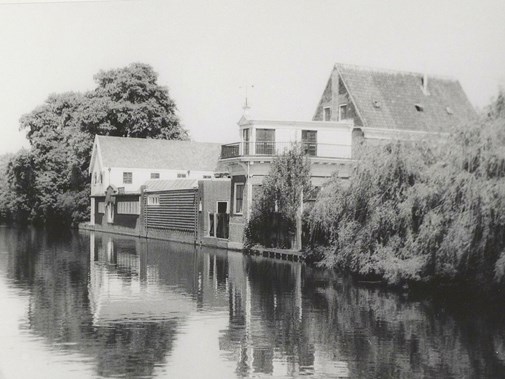 Bijschrift: Kwekerij Van Tubergen, 1970 (foto H.A. Hoogveld - Noord-Hollands Archief).