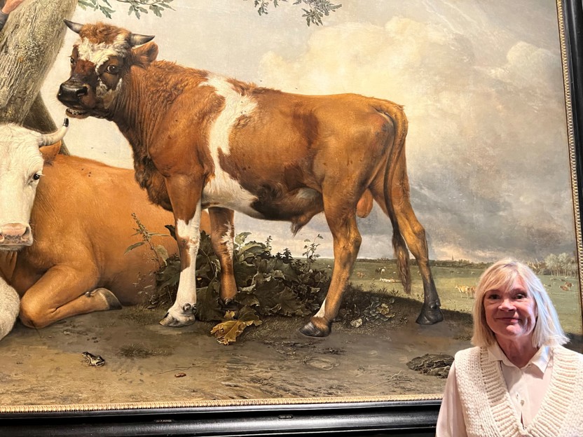 De auteur van het boek De Ziel van De Binckhorst, Miep Smitsloo-de Graaff, bij De Stier van Paulus Potter. Kasteel De Binckhorst prijkt op dit beroemde schilderij tussen de achterpoten van de stier. (Foto Peter Verschoor)