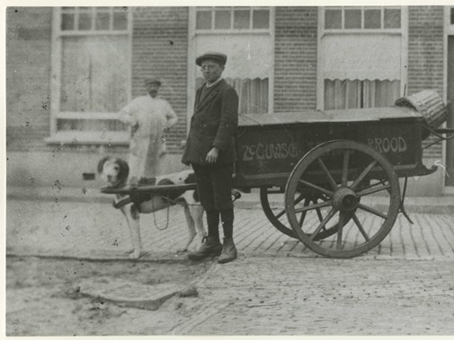 Hondenkar van H. van Dijk in de Arnold Spoelstraat (