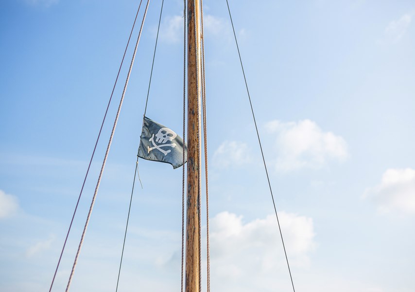 Mast met touwen met piratenvlag