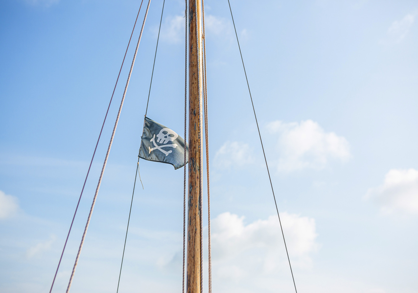 Mast met touwen met piratenvlag