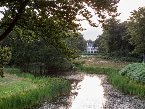 Spiegelvijver van Nieuw-Leeuwenhorst richting Dijkenburg. Foto: Floris Scheplitz