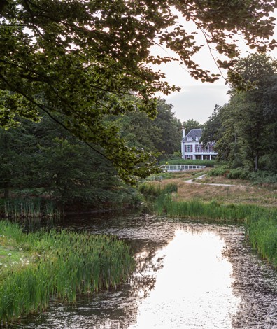 Spiegelvijver van Nieuw-Leeuwenhorst richting Dijkenburg. Foto: Floris Scheplitz