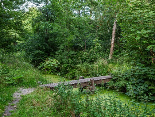 Landgoed Wassergeest, foto: Floris Scheplitz