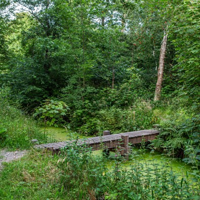 Landgoed Wassergeest, foto: Floris Scheplitz