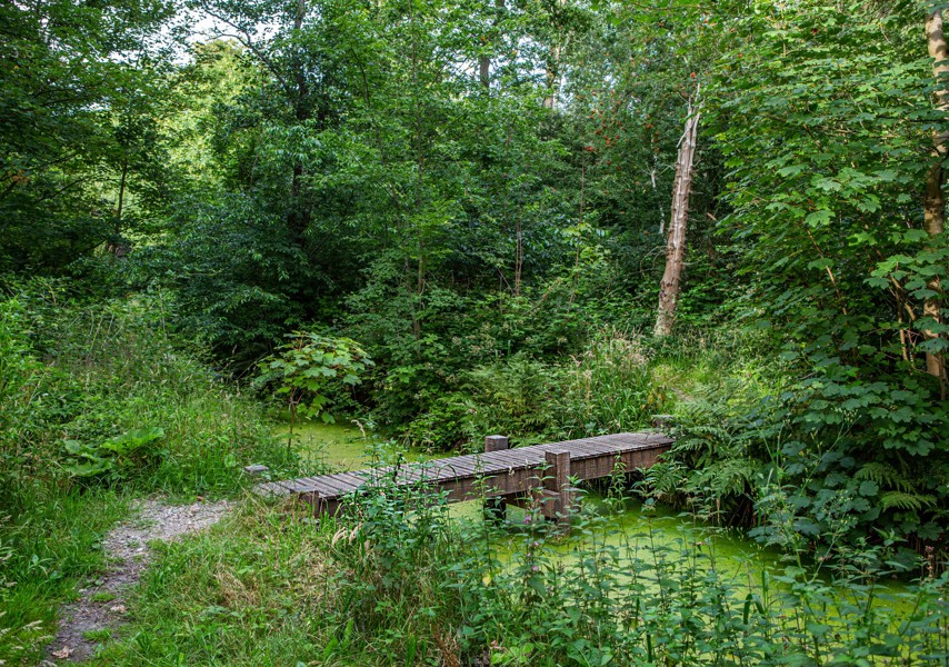 Landgoed Wassergeest, foto: Floris Scheplitz