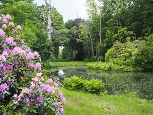 Zocherpark van Buitenplaats Berbice (foto: Stichting Monument & Verhaal)