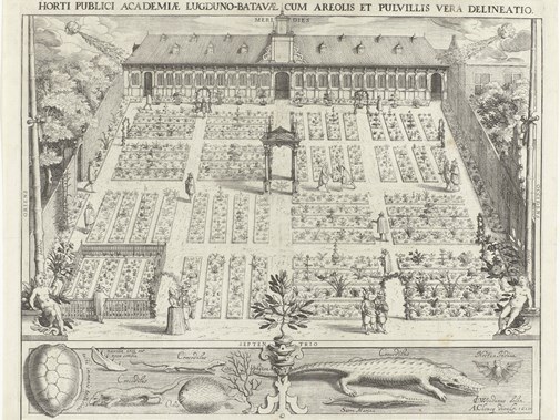 Hortus Botanicus van de Universiteit Leiden, Willem Isaacz. van Swanenburg naar Jan Cornelisz. Van ’t Woudt, 1610, Rijksmuseum Amsterdam