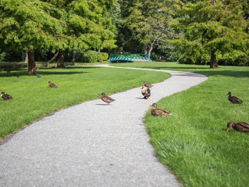 Park Rusthoff. Foto: Floris Scheplitz