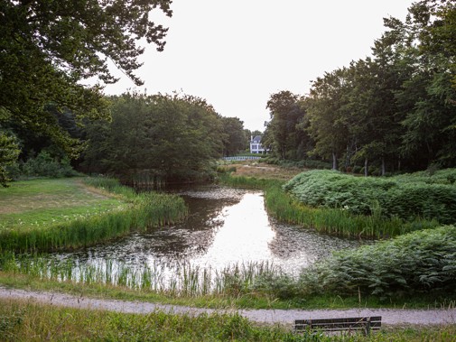 Spiegelvijver bij Dijkenburg, Foto: Floris Scheplitz