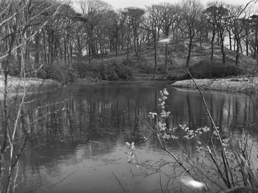 De Koepelberg bij Dijkenburg in 1956. (Foto: Provincie Zuid-Holland)