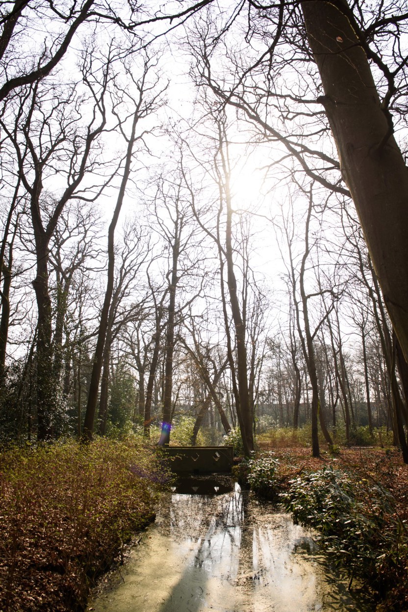 Het park van buitenplaats Beresteijn in Voorschoten