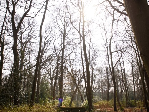 Het park van buitenplaats Beresteijn in Voorschoten