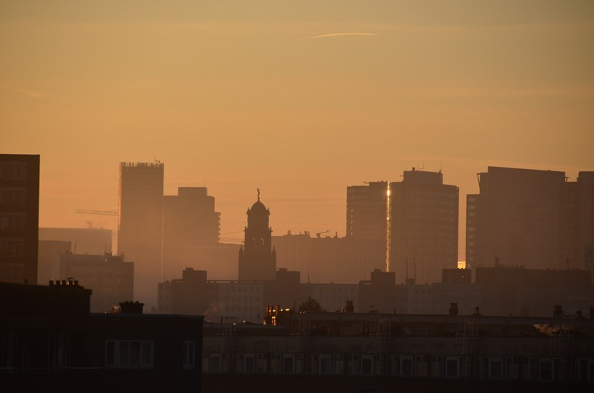De skyline van Rotterdam anno nu (Foto Tessa Hofland) 