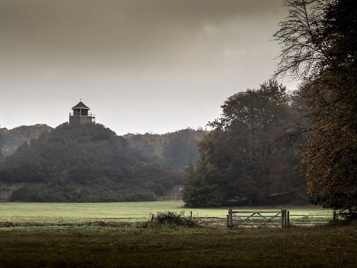 Seringenberg (Foto: Michel Mees, Rijksdienst voor het Cultureel Erfgoed)