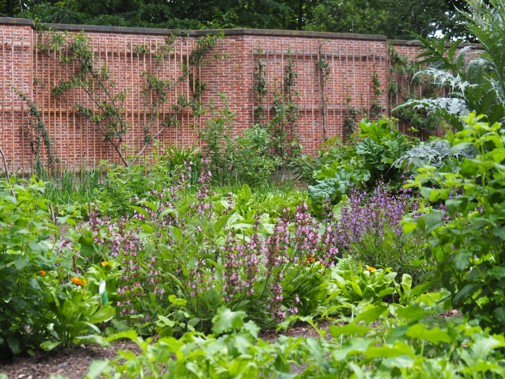 De moestuin van buitenplaats Berbice  (foto: Stichting Monument & Verhaal)