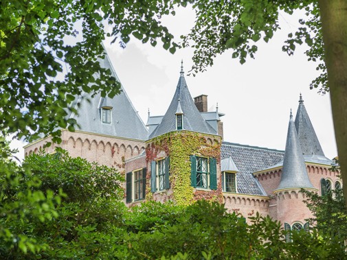 Planten en boom met op achtergrond een kasteel