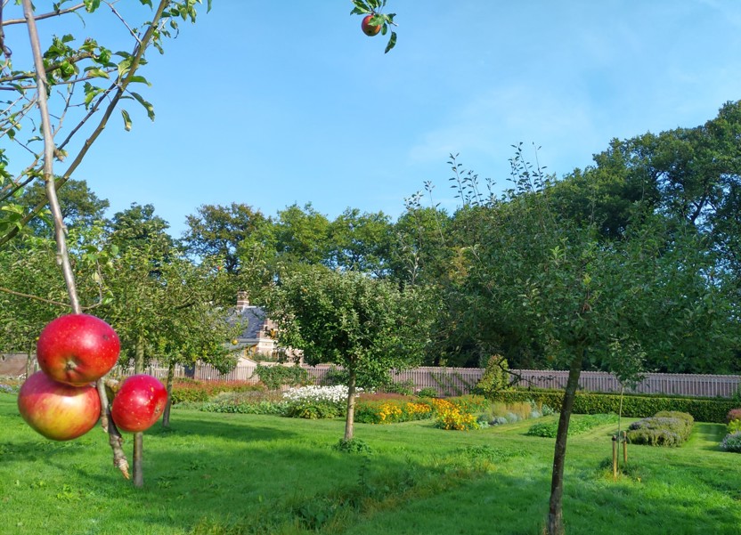 De gerenoveerde Leidse tuin. © Stichting Kasteel Duivenvoorde