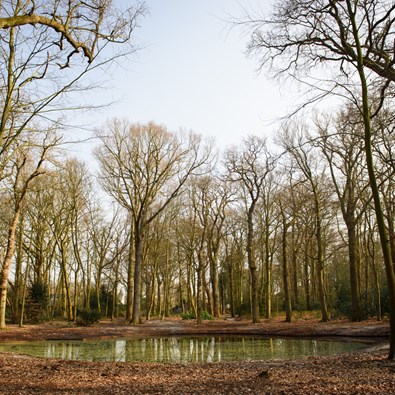 Het park van buitenplaats Beresteijn in Voorschoten