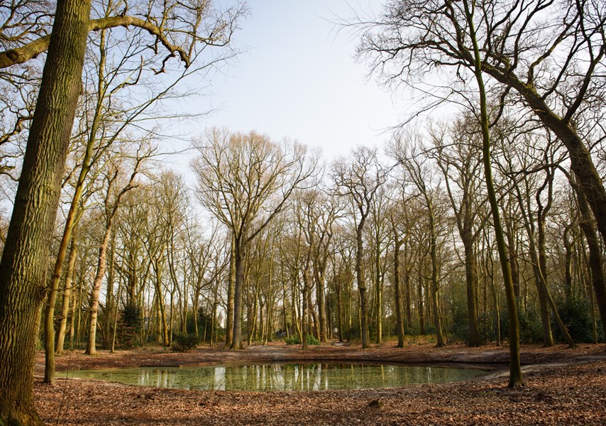 Het park van buitenplaats Beresteijn in Voorschoten