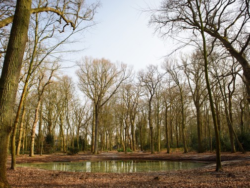 Het park van buitenplaats Beresteijn in Voorschoten