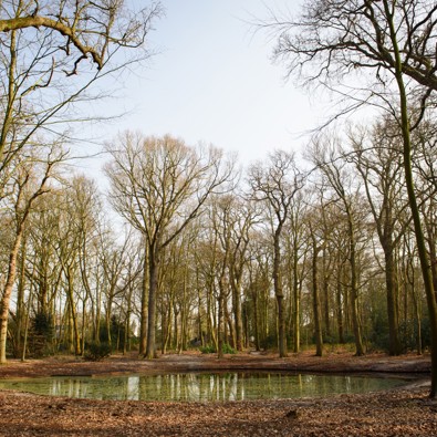 Het park van buitenplaats Beresteijn in Voorschoten